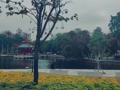 -金砂公园