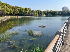-美兰湖景区