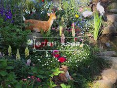 -上海共青森林公园