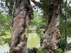 -星湖旅游景区七星岩