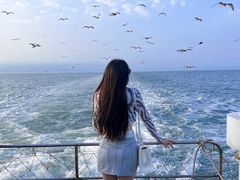 -海驴岛(荣成市)