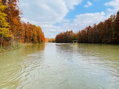 -上海海湾国家森林公园