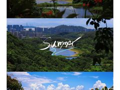 -黄山鲁森林公园