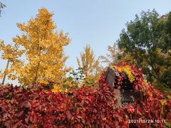 -丰台花园