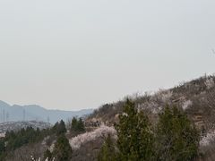 -白水寺森林公园