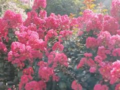 -杭州城北体育公园