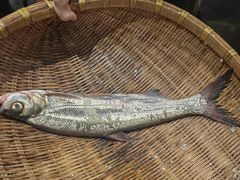 -宁波柏悦酒店·钱湖渔港