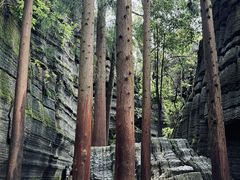 -梭布垭石林景区