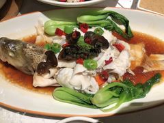 沸腾鱼-胡桃里音乐酒馆(下沙店)