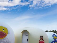 -漳州滨海火山岛自然生态风景区