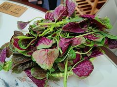 -原林野山菌火锅·炒菌(关上野生菌一条街店)