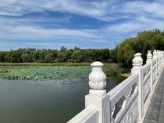 -南海子公园