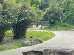 -宁波野生动物园