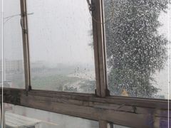 -八仔大富楼·河鲜(西江店)