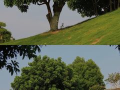 -红花山公园