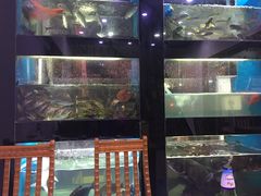 -全乐鱼馆·淳牌有机鱼直营店