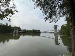 -东湖落雁景区