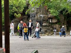 -杏花村文化旅游区