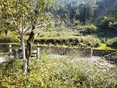 -雁荡山大龙湫景区