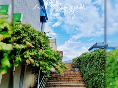 -深圳湾公园(南山区)
