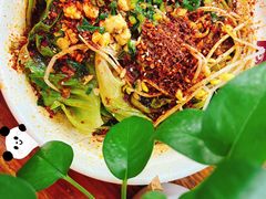 -老陈婆手工面庄