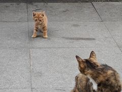 -昆承湖酒家·本帮农家菜