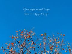 -北京上方山国家森林公园