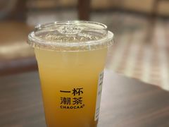 -一杯潮茶·专注潮汕茶饮(朝阳庄店)