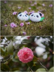 -金牛宾馆·婚寿宴预定中心