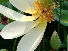 -南戴河国际娱乐中心