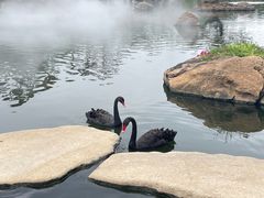 -罗红摄影艺术馆