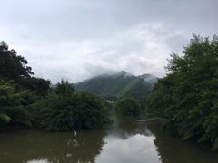 -金鸡岭桥头公园