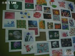 -朵朵开素食餐厅(后宰门街店)