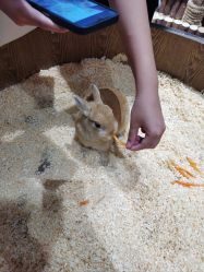 -Zoolung Zoolung动物主题公园(海信广场店)