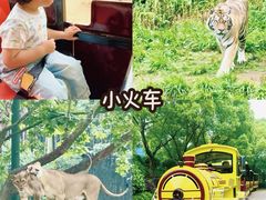 -杭州野生动物世界