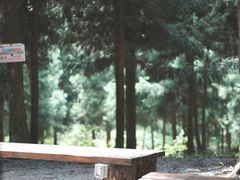 -重庆睡佛山森林公园