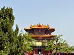 -曹州牡丹园