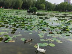 -太阳宫公园