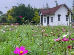 -广东花都香草世界旅游度假区