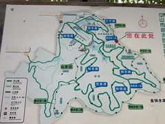 -中山市树木园