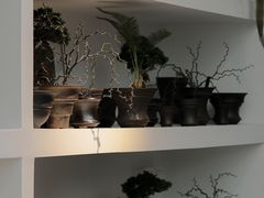 -自由生长植物工作室(深港花卉中心店)