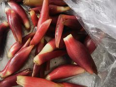 -老农民柴火灶鲜鱼馆