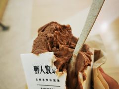 -野人牧坊Gelato(天津南开大悦城店)