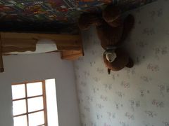 -金山农民画村-枫泾波兰倒置屋
