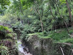 -南山植物园
