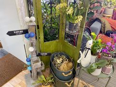 -花木兰花艺MULAN(温馨花园店)