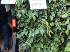 -左撇子私房面