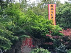 -杭州黄龙洞