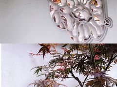-沧浪亭