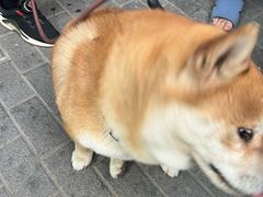 -世纪钟